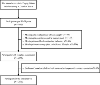 Associations between body composition profile and hypertension in different fatty liver phenotypes